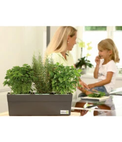GREENBAR® Ersatzvlies, 3er-Pack -Elho Verkäufe 7750482 PR MO 003 GreenbarAnleitungIndoorSeidl 1