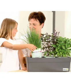 GREENBAR® Naschtomate -Elho Verkäufe 7750482 WE MO 009 GreenbarAnleitungIndoor