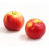 Allergikerapfel 'Santana' 2 Allergikerapfel 'Santana' -Elho Verkäufe 7750631 WE DE 003 ApfelSantanaDehnerExpressHerzig