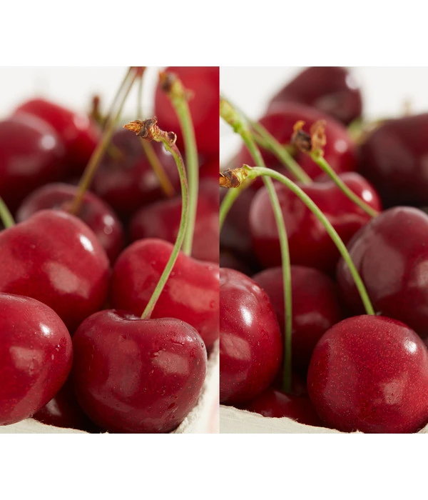 Kirschen-Duo 'Sunburst/Burlat' 3 Kirschen-Duo 'Sunburst/Burlat'