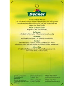 Pfirsich 'Suncrest' -Elho Verkäufe 7760754 GelbfleischigerPfirsichSuncrest Etikett 2