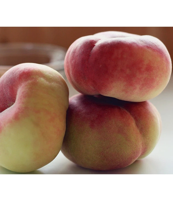 Tellerpfirsich 'Sugar Baby' 3 Tellerpfirsich 'Sugar Baby'