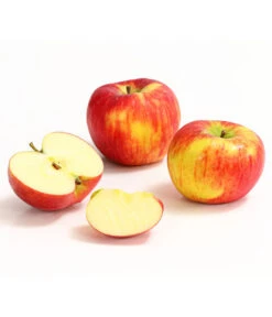 Herbstapfel 'Topaz' -Elho Verkäufe 7763931 WE DE 008 ApfelTopazDehnerExpressHerzig