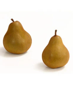 Winterbirne 'Uta' -Elho Verkäufe 7769854 WE DE 003 BirneUtaDehnerExpressHerzig