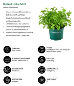 Ausgewählte Produkte -Elho Verkäufe 8002008 WE IG 001 BiolandLiebstoeckel