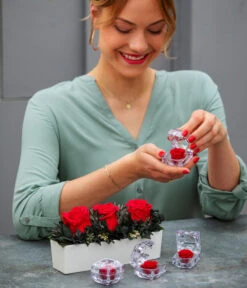 Longlife-Rose In Juwelenbox, Ca. Ø3,5 Cm -Elho Verkäufe 8167041 WE MO 001 LonglifeArrangementElenRot