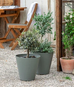 Elho Verkäufe -Elho Verkäufe 8586133 WE MO 001 Eukalyptus