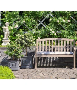 Wandelröschen, Stämmchen -Elho Verkäufe 8589442 8588451 PR MO 001 LantanenWandelroeschenKuebelpflanzenHerzigBlumenparkJuni2015