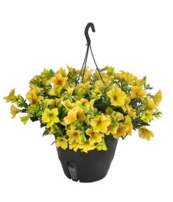 Hängepetunie, Ampel, Verschiedene Farben -Elho Verkäufe 8606840 WE FS 004 HAENGEPETUNIEMIXAMPT25