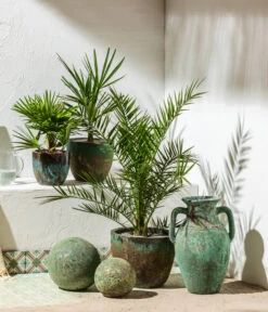 Ausgewählte Produkte -Elho Verkäufe 8608838 8607905 WE MO 001 Palmen