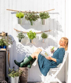 Bio Rosmarin -Elho Verkäufe 8610123 WE MO 001 Oregano Kraeuter 2