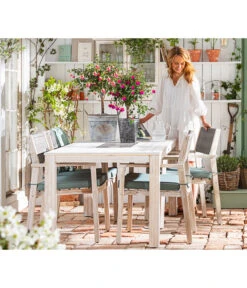 Fuchsie, Verschiedene Sorten -Elho Verkäufe 8649733 WE MO 001 FuchsieStaemmchen