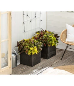 Beet- & Balkonpflanzen-Set Farbexplosion, 6-teilig -Elho Verkäufe 8800567 PR MO 001 Beet Balkon SetBuntnessel