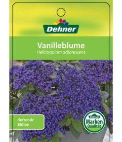 Vanilleblume -Elho Verkäufe 8814279 Vanilleblume Etikett 1