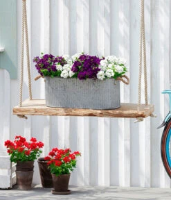 Eisenkraut, Verschiedene Farben -Elho Verkäufe 8826828 WE MO 001EisenkrautT13