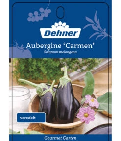 Dehner Gourmet Garten Aubergine, Veredelt -Elho Verkäufe 8830051 GGAubergineCarmen Etikett 1
