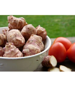 Topinambur -Elho Verkäufe 8830184 PR MO 001 TopinamburPixabay