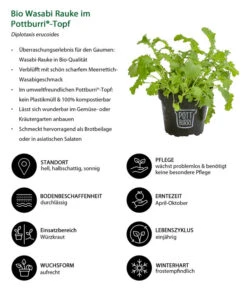 Bio Wasabi Rauke Im Pottburri®-Topf 8 Bio Wasabi Rauke Im Pottburri®-Topf -Elho Verkäufe 8830291 WE IG 001 BioWasabiRaukeimPottburriTopf