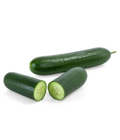 Mini Schlangengurke -Elho Verkäufe 8830747 WE FS 003 Minischlangengurke