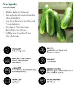 Snackgurke 11 Snackgurke -Elho Verkäufe 8830960 WE IG 001 Snackgurke