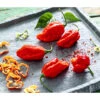 Chili 'Carolina Reaper' -Elho Verkäufe 8831133 WE MO 001 ChiliCarolinaReaper
