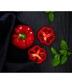 Dehner Gourmet Garten Tomatenpaprika -Elho Verkäufe 8831562 WE MO 001 TomatenpaprikaRenner