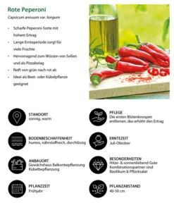 Rote Peperoni, Scharf -Elho Verkäufe 8831687 WE IG 001 RotePeperoni