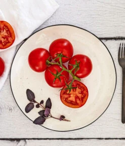 Bioland Buschtomate -Elho Verkäufe 8831968 WE MO 001 BiolandBuschtomate