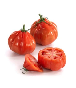 Ochsenherztomate 'Fleurette' -Elho Verkäufe 8832883 WE DE 001 Ochsenherztomate