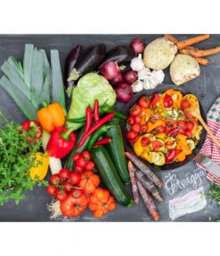 Cherrytomate 'Pepe' -Elho Verkäufe 8839235 8835605 8835472 8611063 8839243 8836918 WE MO 001 Pustagemuese GC04 2022 02