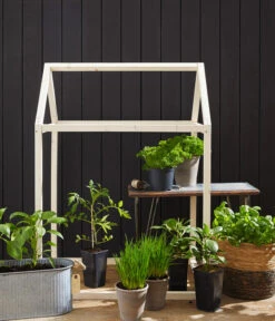 Cherrytomate 'Pepe' -Elho Verkäufe 8839243 8839243 8839201 8839185 8002271 8843781 8002578 WE MO 004 Fruehlingsshooting