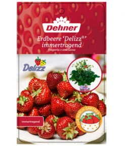 Erdbeere 'Delizz' -Elho Verkäufe 8840274 ErdbeereDelizzImmertragend Etikett 1