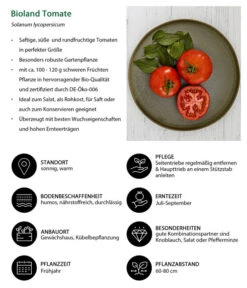 Bioland Tomate, Rundfruchtig -Elho Verkäufe 8842619 WE IG 001 BiolandTomate