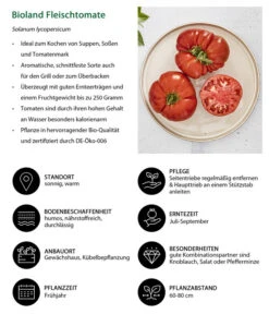 Bioland Fleischtomate -Elho Verkäufe 8842627 WE IG 001 BiolandFleischtomate