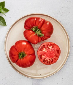 Bioland Fleischtomate -Elho Verkäufe 8842627 WE MO 001 BiolandFleischtomate