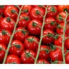 Bioland Cherrytomate -Elho Verkäufe 8842635 WE DE 001 Bio Cherrytomate