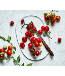 Bioland Cherrytomate -Elho Verkäufe 8842635 WE MO 002 Bio Cherrytomate